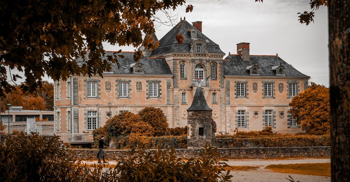 Guide rencontre cougar à Limoges